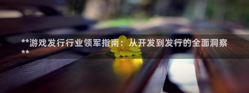 蓝狮子财经丛书有哪些：**游戏发行行业领军指南：从开发到发行的全面洞察
**