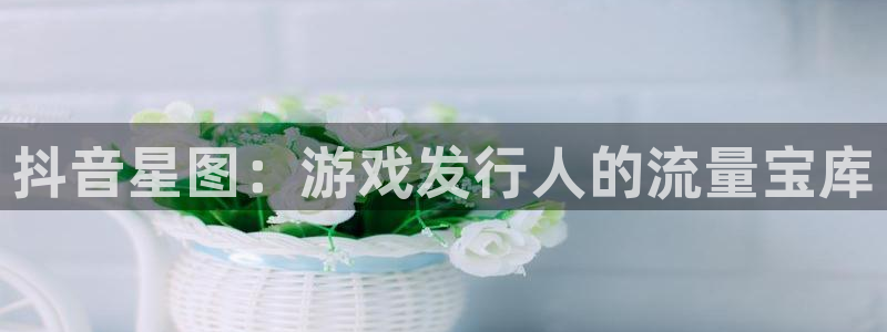 广东蓝狮：抖音星图：游戏发行人的流量宝库
