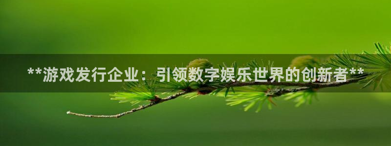 蓝狮在线挂机项目怎么样啊：**游戏发行企业：引领数字娱乐世界的创新者**