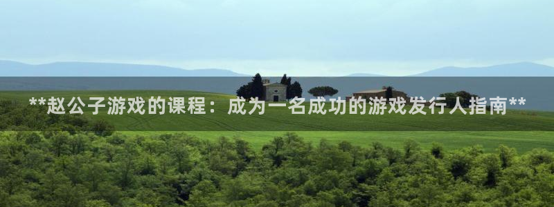 蓝狮在线代理开号怎么开：**赵公子游戏的课程：成为一名成功的游戏发行人指南**