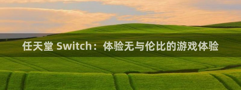 蓝狮子最好看的小说：任天堂 Switch：体验无与伦比的游戏体验