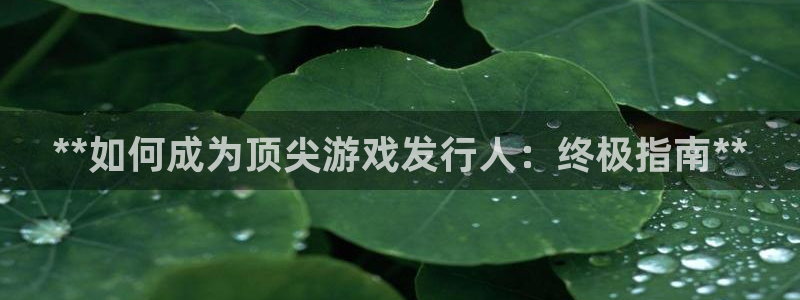 蓝狮红酒怎么样：**如何成为顶尖游戏发行人：终极指南**