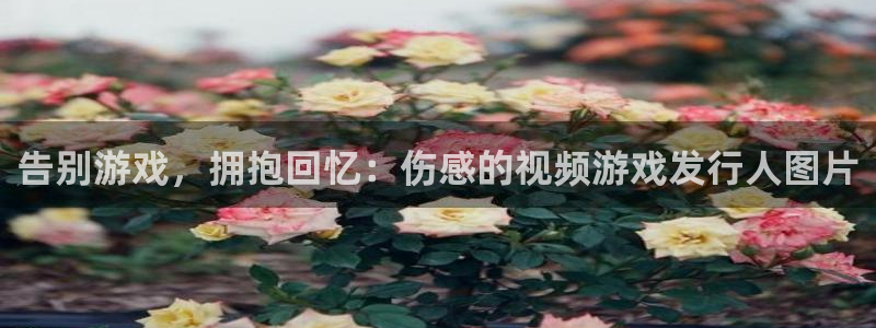 蓝狮在线注册平台怎么注册：告别游戏，拥抱回忆：伤感的视频游戏发行人图片