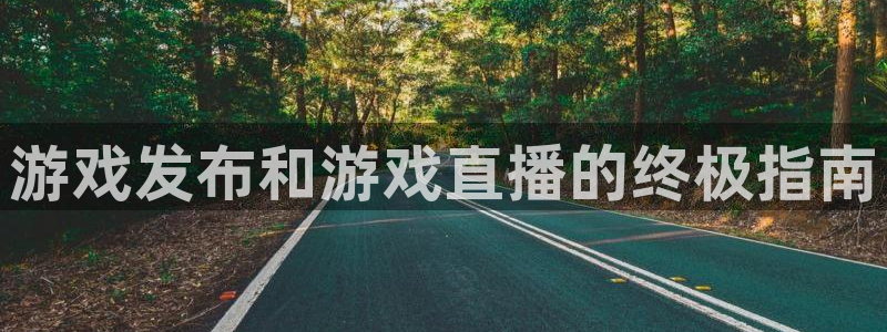 蓝狮男装品牌