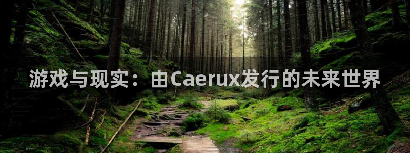 陕西蓝狮子文化创意是什么
