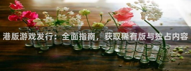 蓝狮子公司怎么样知乎
