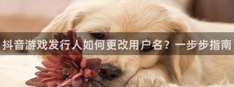 蓝狮在线登录注册账号密码：抖音游戏发行人如何更改用户名？一步步指南