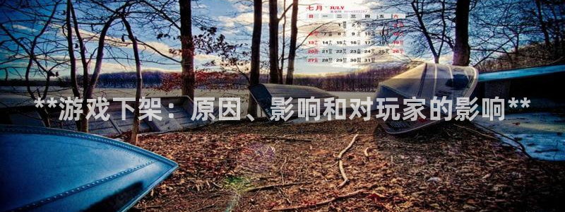 蓝狮在线官网注册账号：**游戏下架：原因、影响和对玩家的影响**