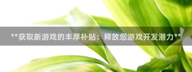 蓝狮在线登录注册失败：**获取新游戏的丰厚补贴：释放您游戏开发潜力**