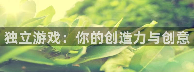 深圳市蓝狮科技有限招聘公司