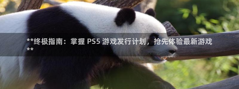 蓝狮主管：**终极指南：掌握 PS5 游戏发行计划，抢先体验最新游戏
**