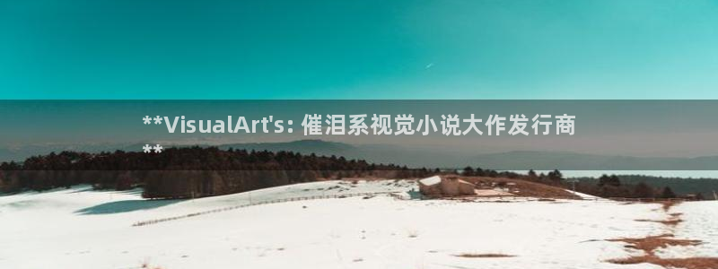 蓝狮在线招商主管：**VisualArt\'s: 催泪系视觉小说大作发行商
**