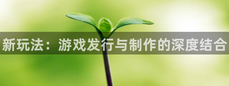 蓝狮怪兽：新玩法：游戏发行与制作的深度结合