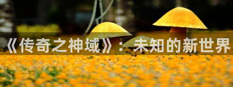 蓝狮在线登录注册失败怎么回事：《传奇之神域》：未知的新世界