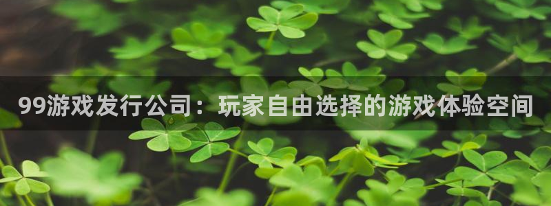 广州蓝狮网络科技有限公司