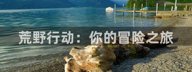 蓝狮涂料怎么样：荒野行动：你的冒险之旅