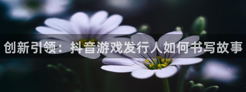 蓝狮在线平台代理开号怎么开